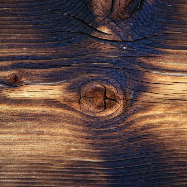 나무 배경 — 스톡 사진