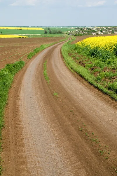 Estrada de terra entre campos — Fotografia de Stock