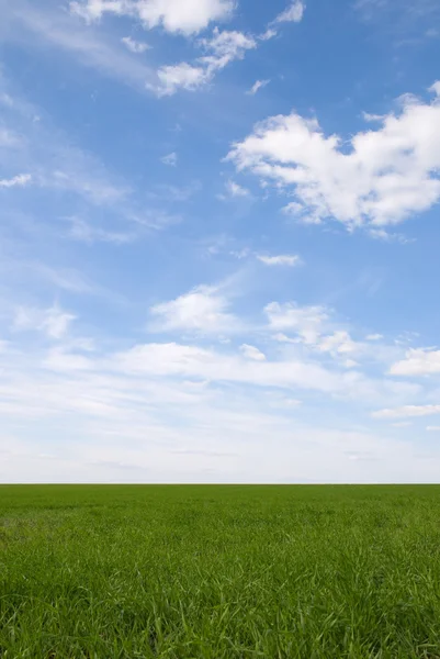 สนามหญ้าสีเขียวใต้ท้องฟ้าฤดูร้อน — ภาพถ่ายสต็อก
