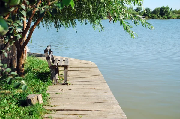 stock image Vacant Park Bench in Front of a River