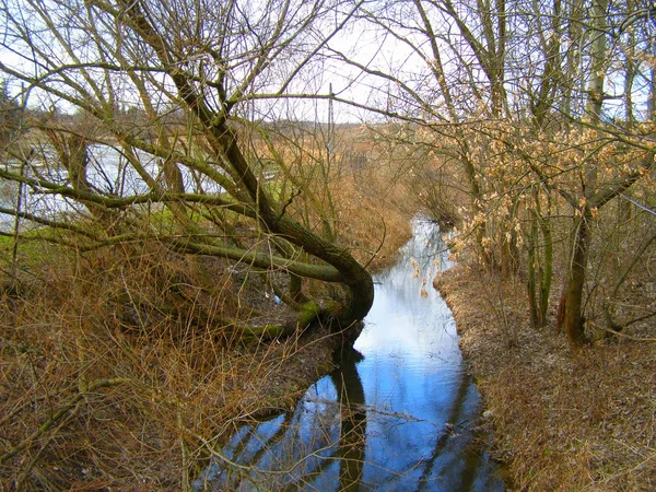 Река — стоковое фото