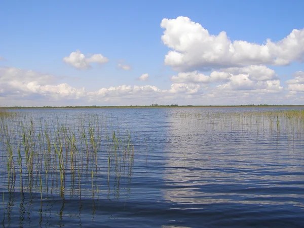 stock image Lake