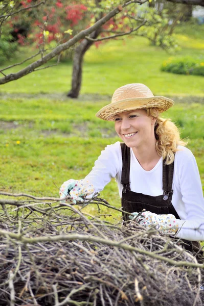 Fiatal nő takarítást fa végtagok — Stock Fotó