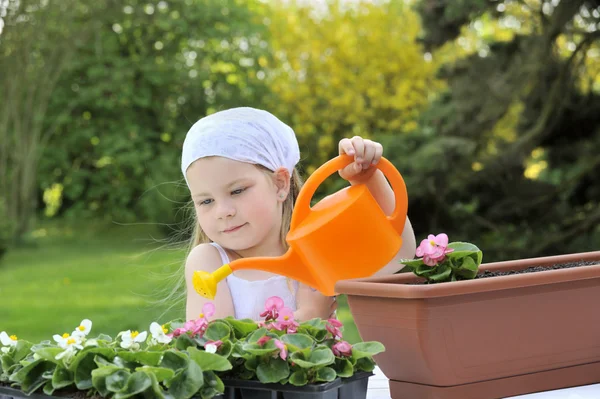 Молода дівчина поливає квіти — стокове фото