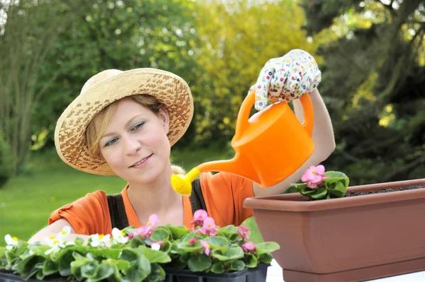 Mladá žena zalévání květiny — Stock fotografie