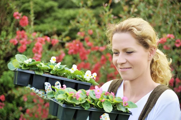 Woman with container-grown plants — Stock Photo, Image