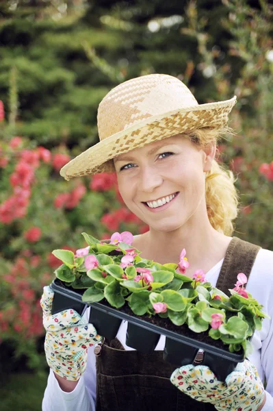 Žena s kontejnerem pěstované rostliny — Stock fotografie