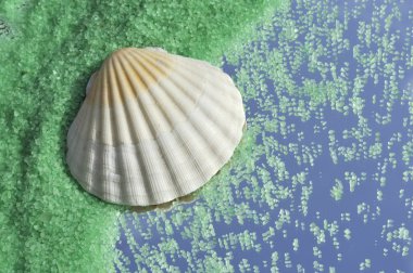 Green crystals of sea salt and shell clipart