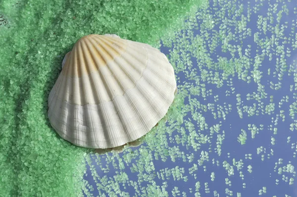 Grüne Kristalle aus Meersalz und Muschel — Stockfoto