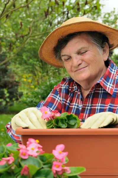 Femme âgée - jardinage — Photo