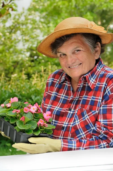 Starszy kobieta - ogrodnictwo — Zdjęcie stockowe