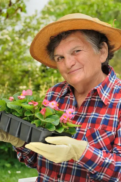 Seniorin - Gartenarbeit — Stockfoto