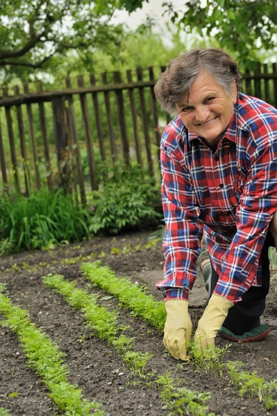 Seniorin bei der Gartenarbeit — Stockfoto