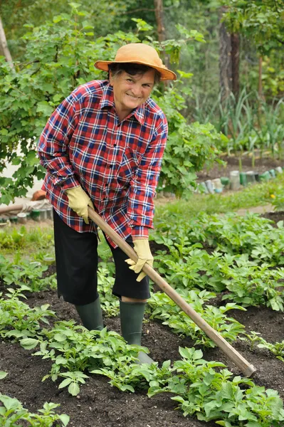 Äldre kvinna trädgårdsskötsel — Stockfoto