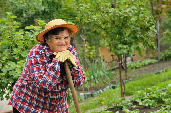 Senior woman gardening — Stock Photo, Image