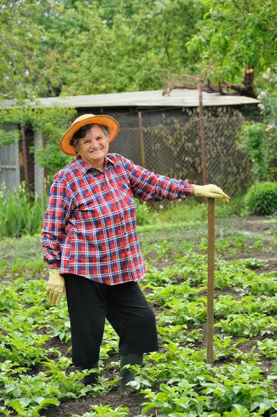 Старші жінки садівництво — стокове фото