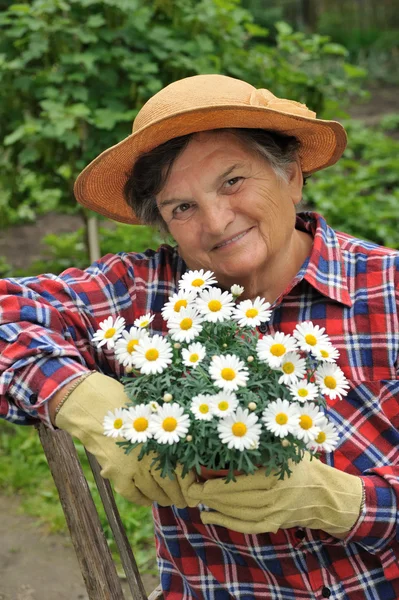 Starszy kobieta ogrodnictwo — Zdjęcie stockowe