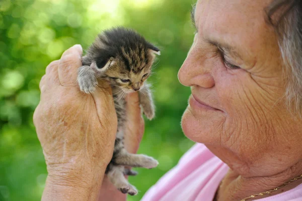 Senior woman holding little kitten — Stock Photo, Image