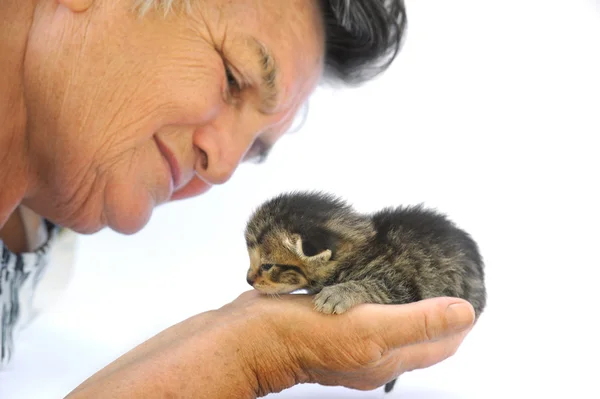 Senior woman holding kitten — Stock Photo, Image