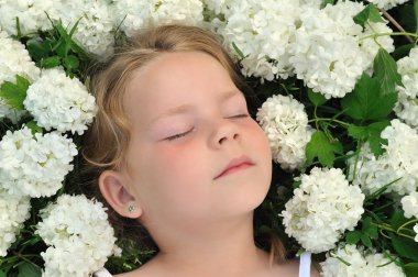 Little girl laying in flowers - snowball clipart