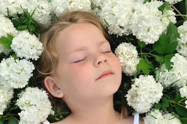 Klein meisje leggen in bloemen - snowball — Stockfoto