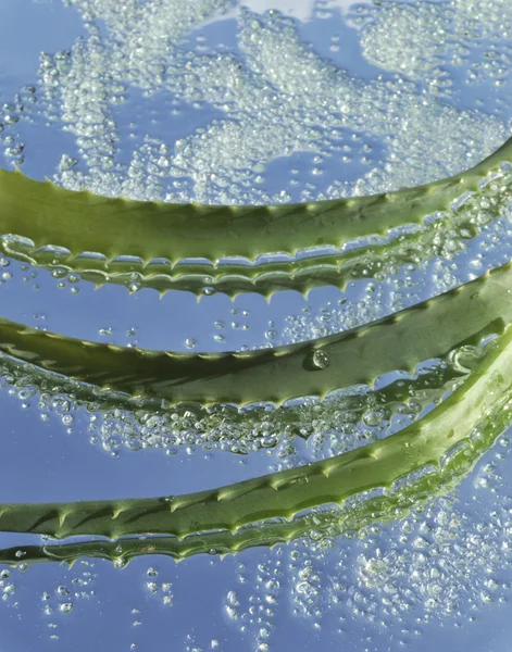 Aloe en groene kristallen van zeezout — Stockfoto