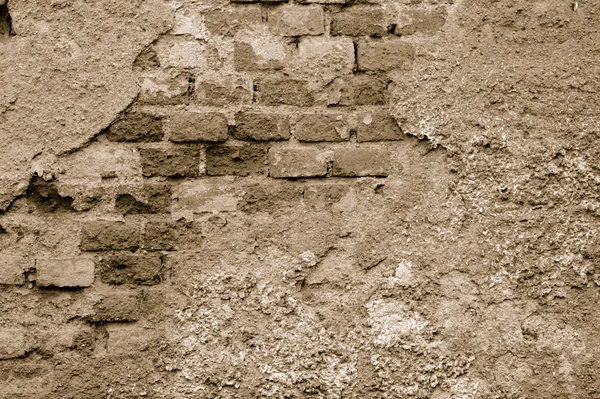 Oude muur - monochrom — Stockfoto