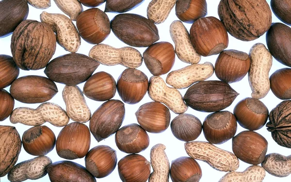 Detail van noten — Stockfoto