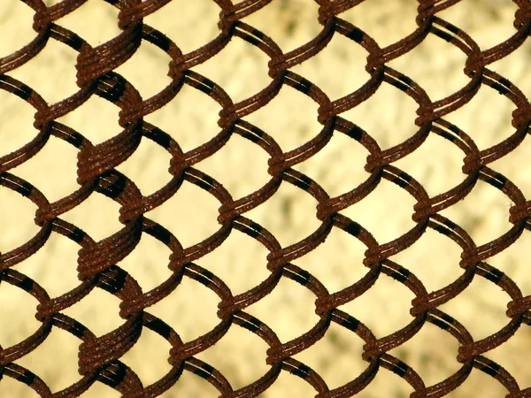 Detail van lente matras — Stockfoto
