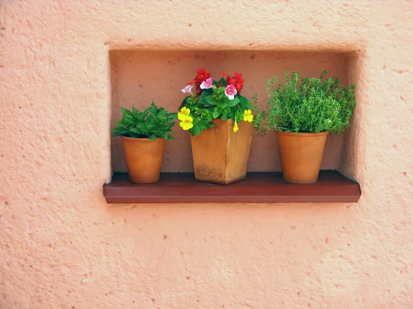 Turuncu duvar ve çiçekler — Stok fotoğraf