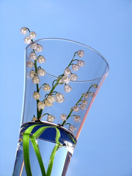 방울 꽃 블루 배경 위에 — 스톡 사진