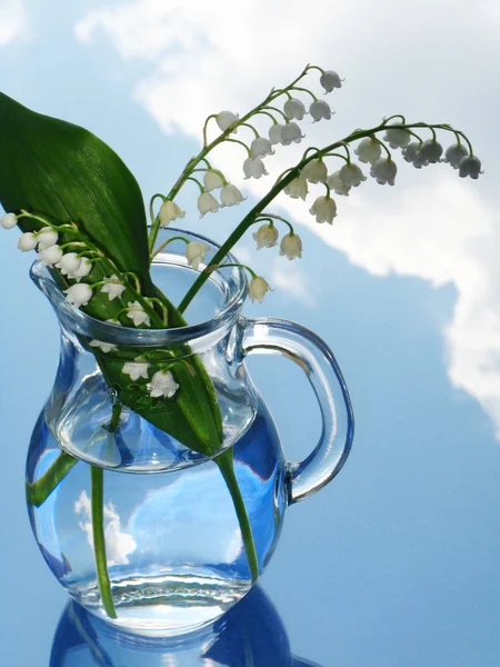 Lily of the valley in jug — Stock Photo, Image