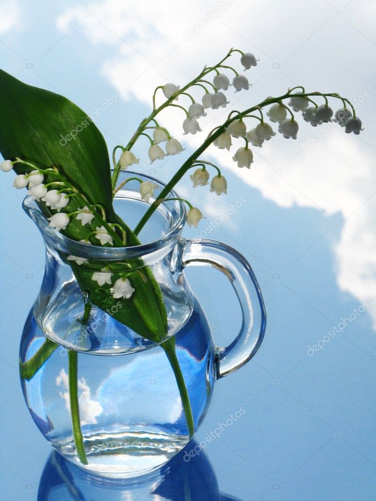 Lily of the valley in jug