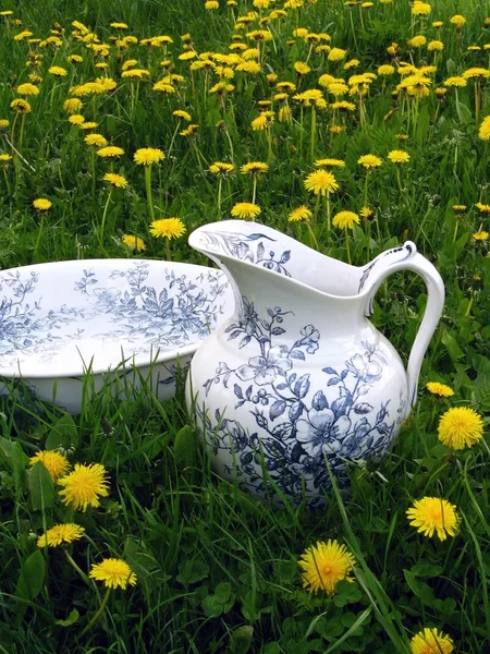 Classic wash basin and jug in meadow — Stock Photo, Image
