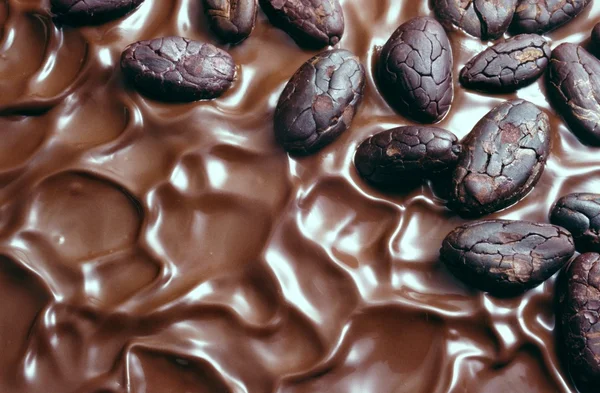 Chocolate icing and cocoa beans — Stock Photo, Image