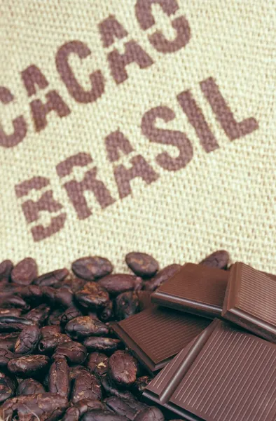Judías de cacao y hessianas —  Fotos de Stock