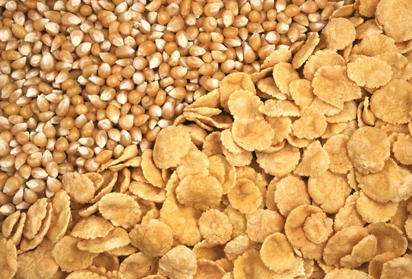 Семена кукурузы и хлопья — стоковое фото