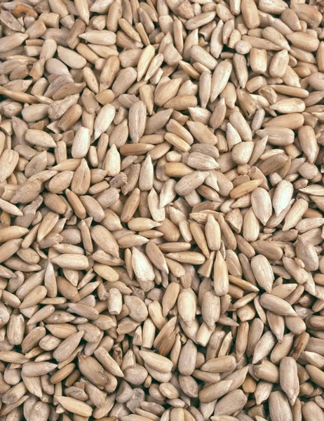 Семена подсолнечника - фон — стоковое фото