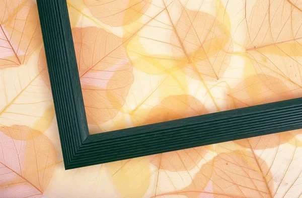 Сухе кольорове листя та дерев'яна рамка — стокове фото