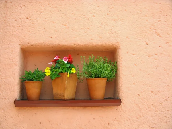 Πορτοκαλή τοίχο και λουλούδια — Φωτογραφία Αρχείου