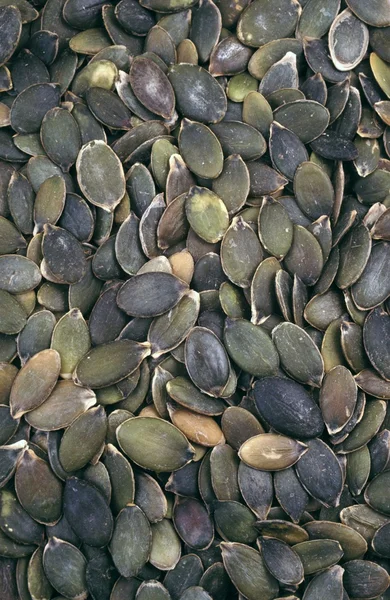 Семена тыквы - фон — стоковое фото