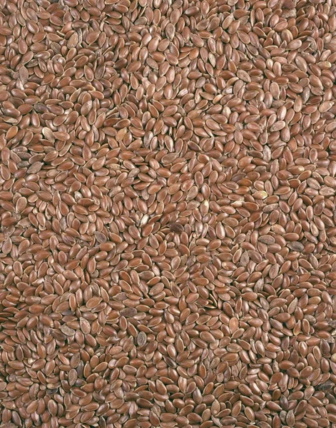Widok zbliżenie flix nasion - tło — Zdjęcie stockowe