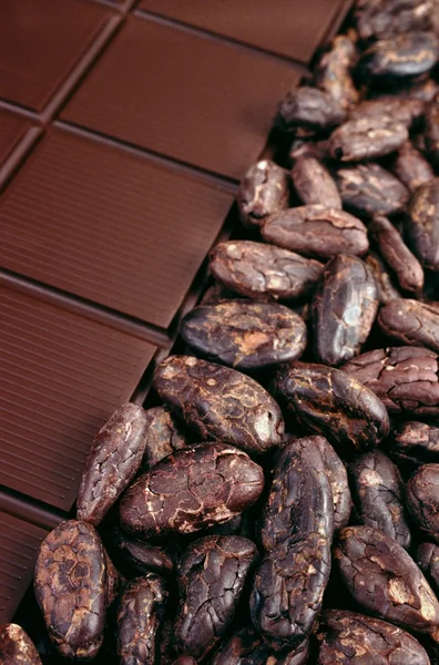 Шоколад і какао-боби — стокове фото