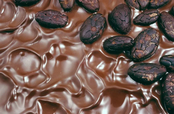 Chocolate icing with cocoa beans — Stock Photo, Image