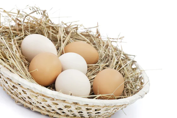 Świeże jaja hodowlane — Zdjęcie stockowe