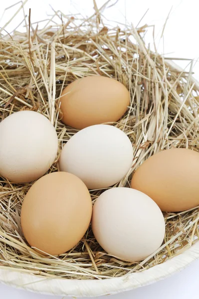 Uova fresche di fattoria — Foto Stock