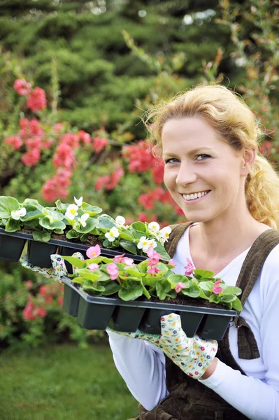Young woman holding seedlings — Stock Photo, Image
