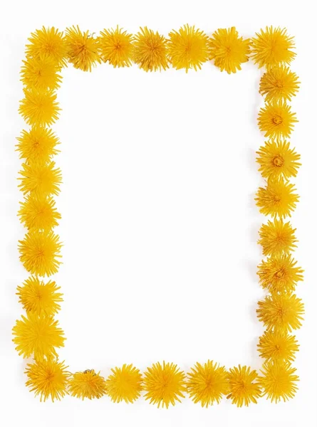 Dandelion - frame — Stock Photo, Image