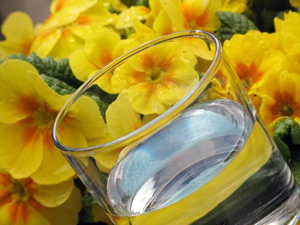 Glass of water and primrose - detail — Stock Photo, Image