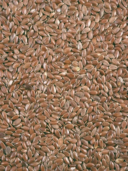 Vista de perto das sementes de milho - fundo — Fotografia de Stock